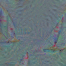 n02981792